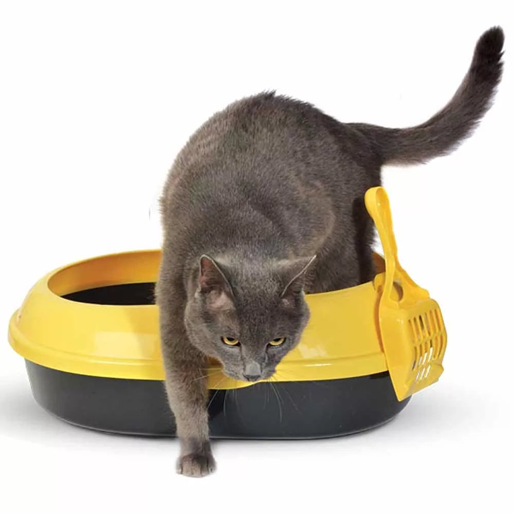 Товары для животных