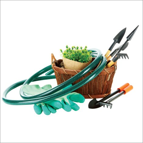 Дача, сад, огород