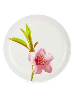 Тарелка обеденная УОТЕР КОЛОР 27см