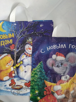 Пакет с петлевой ручкой НГ 35*45см