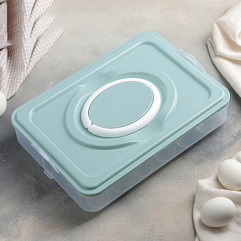 Контейнер пласт. для хранения яиц 31*22.5*6.5см  24 ячейки  МИКС