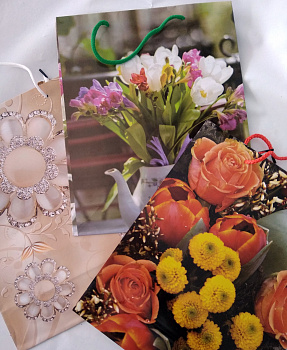 Сумка гологр. 26см*32см*13,5см