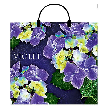 Пакет с пластик. ручкой 38*35см