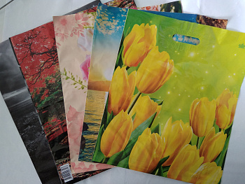 Пакет с вырубной ручкой с рис. 38*45см