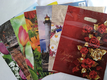 Пакет с вырубной ручкой с рис. 31*40см